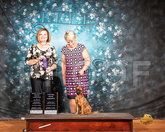 Brussels Griffon Sat S2 HIT Judge Susan Knowles__SR_7352-MrshlUKC2019-HR3