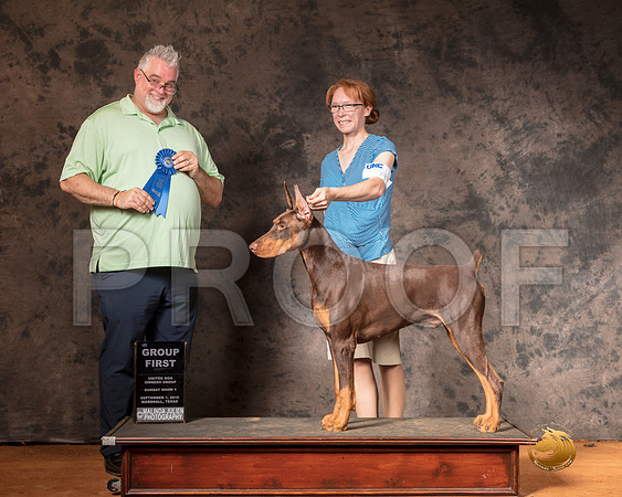 Doberman Pinscher Sun S1 G1 Judge Matthew Proctor__SR_7408-Edit-MrshlUKC2019-HR3