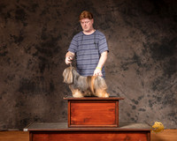 Lhasa Apso Sun S1 G3 Judge Matthew Proctor 2
