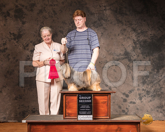 Lhasa Apso Sun S2 G2 Judge Barbara Trammell__SR_7439-MrshlUKC2019-HR3