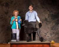 Poodle Std Solid Sun S1 BIS Judge Pamela Simmons