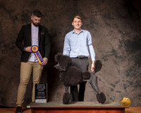 Poodle Std Solid Sun S2 RBIMBS Judge Kevin Izard