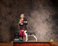 Rat Terrier Sat S2 G1