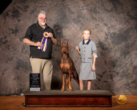 Doberman Pinscher Mon S1 ARBIS Judge Matthew Proctor