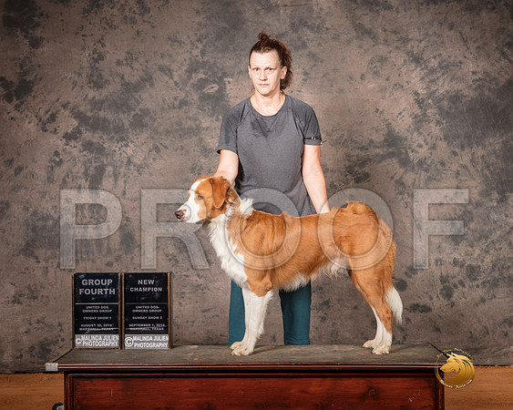 English Shepherd Fri S1 G4 S2 NCh__SR_7549-MrshlUKC2019-HR3