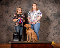 Labrador Retriever Mon S1 URX7 Judge Susan Knowles