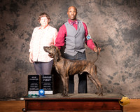 Plott Hound Mon S1 G1 NCh