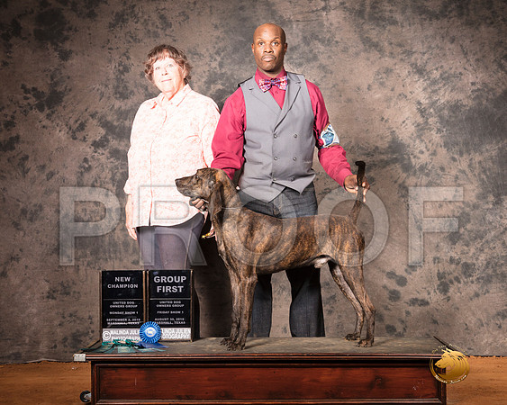 Plott Hound Mon S1 G1 NCh__SR_7565-MrshlUKC2019-HR3