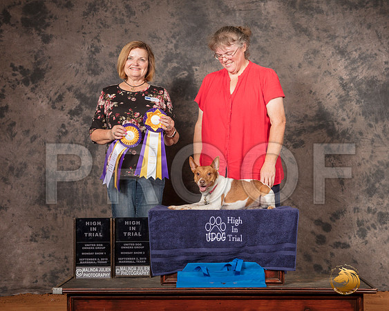 Rat Terrier Mon S2 HIT Amanda Hill Judge Susan Knowles__SR_7522-MrshlUKC2019-HR3