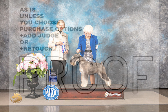 Schnauzer Std #11 Sun BOW Judge Patricia Sosa_MJ_7782_Houston_2022_HR3