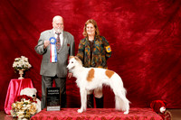 Silken Windhound Sat S2 GrCh Jan Decker Paul Bruneau