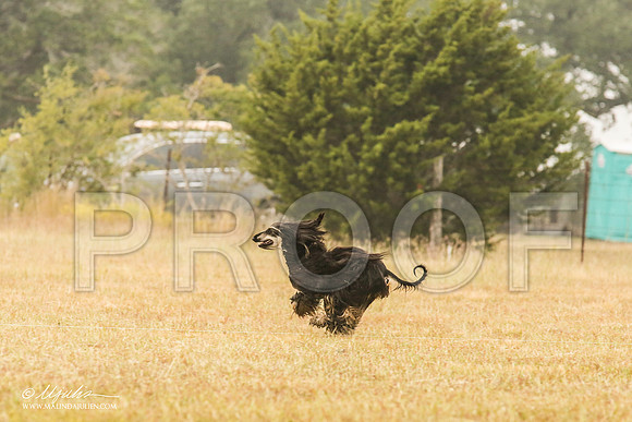 _MJ_2899-AfgBeltonOct2014-HR3