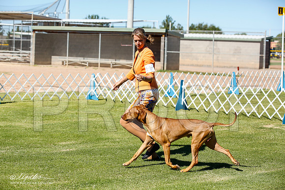 _JN_6013-AlamogordoOct2014-HR3