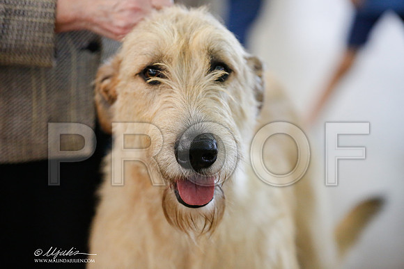 _JJ_4551-DallasJul2014-HR3