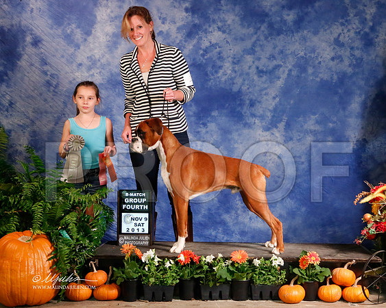 boxer-5029-HstnNov13-HR