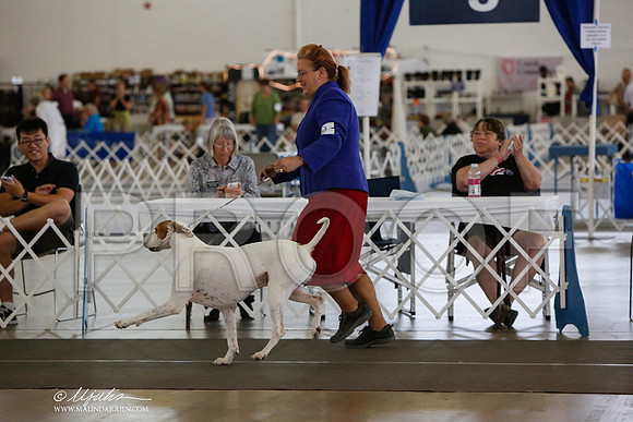 _JJ_1224-DallasJul2014-HR3