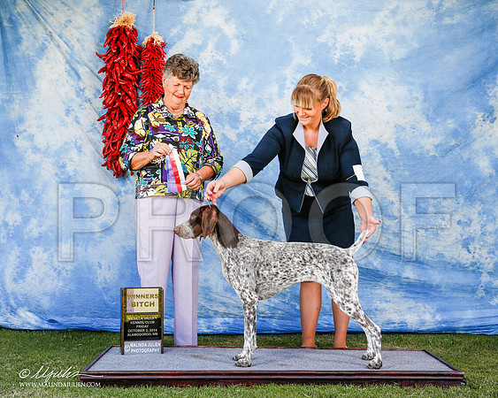 _ST_2665-2-AlamogordoOct2014-HR3