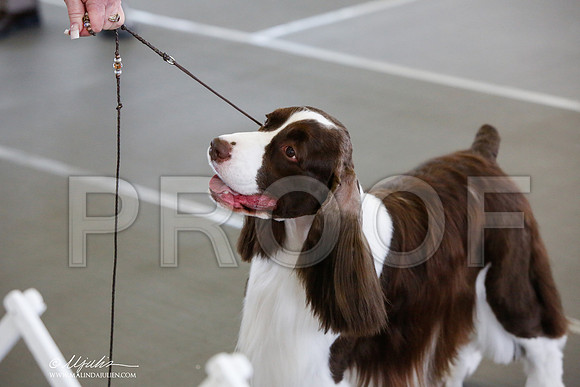 _JJ_1306-DallasJul2014-HR3
