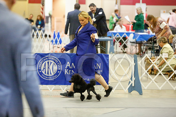_JJ_2334-AmarilloSept2014-HR3