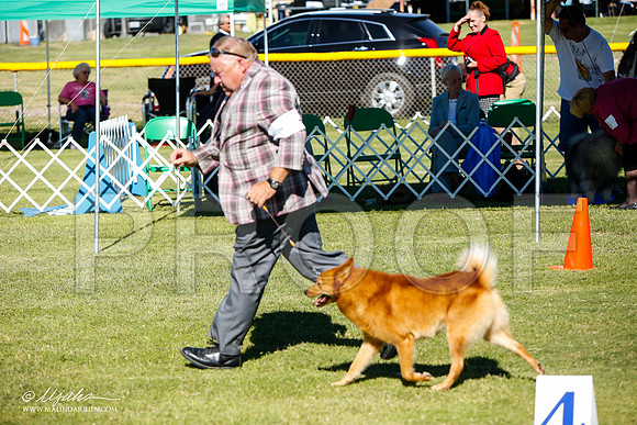 _JJ_6061-AlamogordoOct2014-HR3