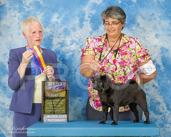 _ST_3010-AlamogordoOct2014-HR3