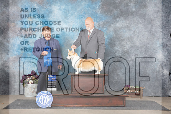 Pembroke Welsh Corgi #6 Sat G1 Judge Del Richards__JP_7364_Belton_2024_HR3