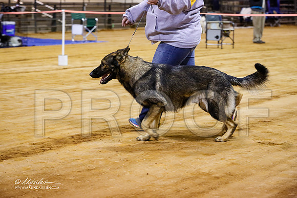 GSD-7282-MrshllDec13-HR
