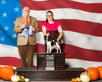 Papillons #21 Sun BOW NC Kirk Parsy Garey Kirk Judge Mr Merle Taylor