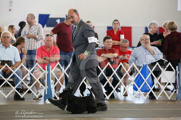 _JJ_2072-DallasJul2014-HR3