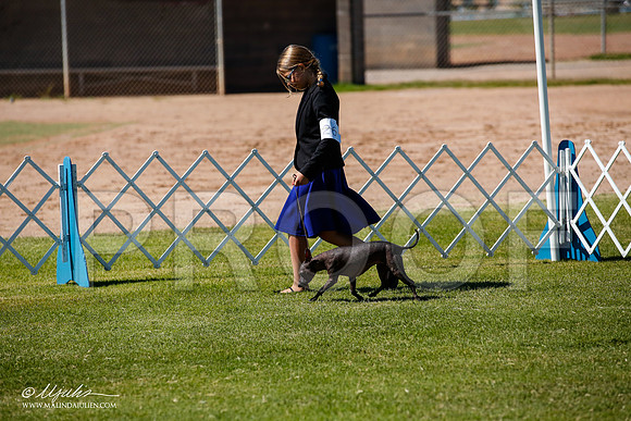 _JJ_8569-AlamogordoOct2014-HR3