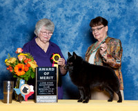 #113 AOM Dara Wilcox Judge Beverly Henry
