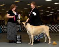 Mastiff #6 Thur OHBOB Judge Elizabeth Muthard