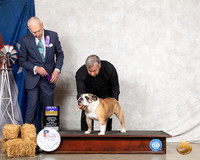 Bulldog #5 Thurs WD Judge Robert Hutton