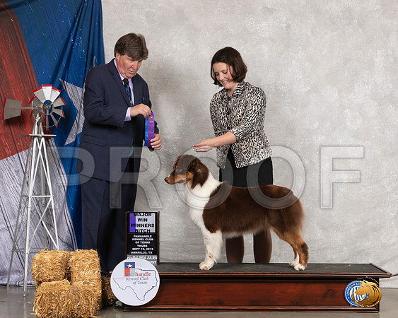 Australian Shepherd #18 Thurs WB Maj Judge Charles Olvis__SR_8084_Amrilo2019-HR3
