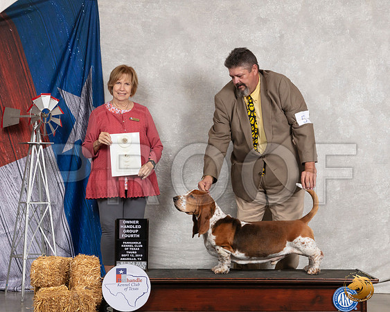 Basset Hound #5 Thurs OHG4 Judge Nancy Liebes__SR_8052_Amrilo2019-HR3