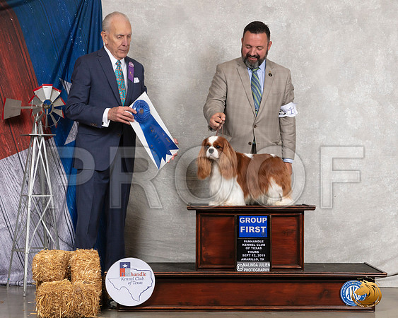 Cavalier King Charles Spaniel #11 Thurs G1 Judge Robert Hutton__SR_8055_Amrilo2019-HR3