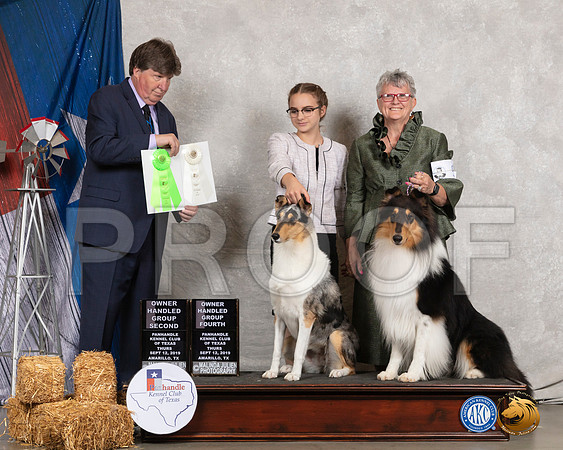 Collie Smooth Rough #12 #5 OHG2 G4 Judge Charles Olvis__SR_8134_Amrilo2019-HR3