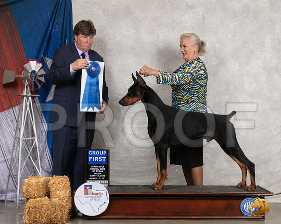 Doberman Pinscher #5 Thurs G1 Judge Charles Olvis__SR_8069_Amrilo2019-HR3