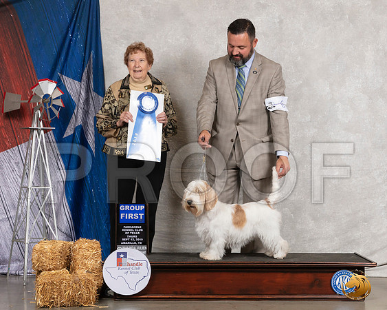 PBGV #6 Thurs G1 Judge Laurie Telfair__SR_8041_Amrilo2019-HR3