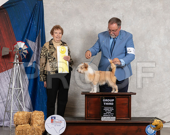 Podengo #5 Thurs G3 Judge Laurie Telfair__SR_8048_Amrilo2019-HR3