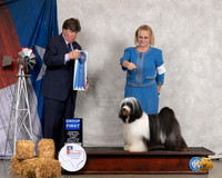 Tibetan Terrier #5 Thurs G1 Judge Charles Olvis