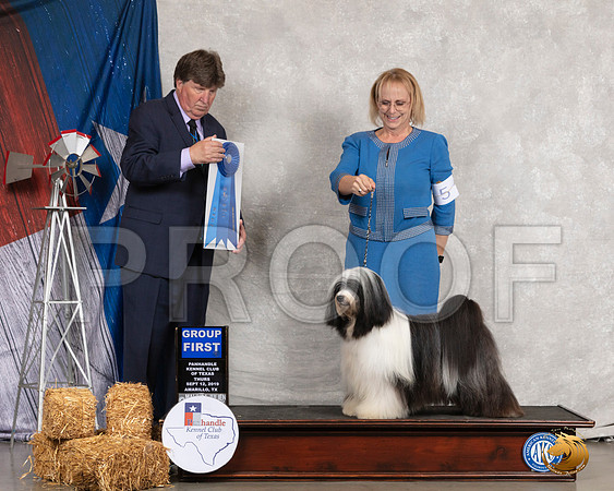 Tibetan Terrier #5 Thurs G1 Judge Charles Olvis__SR_8107_Amrilo2019-HR3