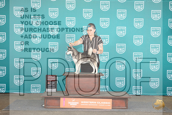 Alaskan Klee Kia #552 Sun G2 Judge Sharon Griffin__JP_2024_Longview WA_2024_HR3
