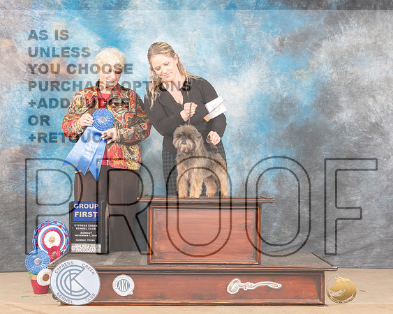 Affenpinscher #5 Sun G1 Judge Mary Jane Carberry_MMJ_4335-CCKC2021-HR3