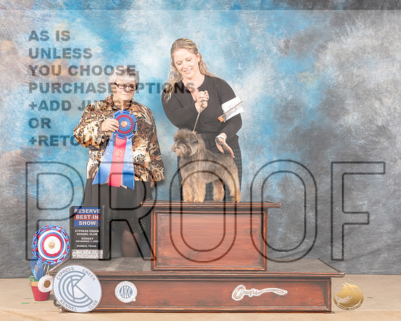 Affenpinscher #5 Sun RBIS Judge Barbara Burns_MMJ_4316-CCKC2021-HR3