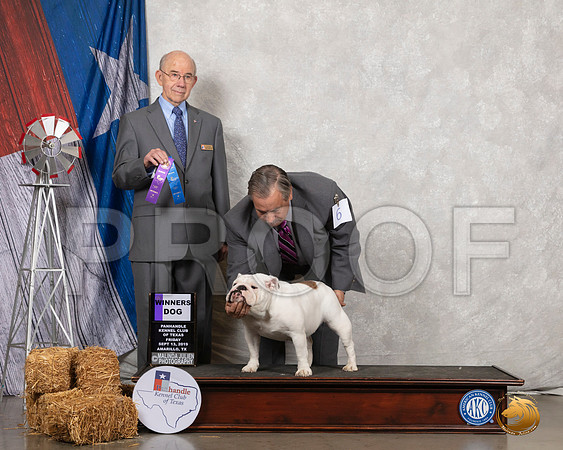 Bulldog #6 Fri WD Judge Kenneth Buxton__SR_8223_Amrilo2019-HR3