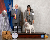 Bulldog #7 Fri BOB OHBOB Judge Kenneth Buxton