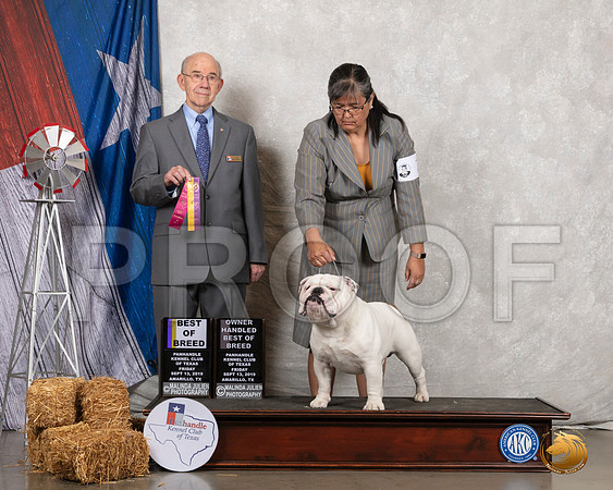 Bulldog #7 Fri BOB OHBOB Judge Kenneth Buxton__SR_8217_Amrilo2019-HR3