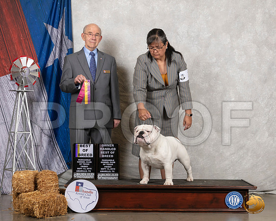 Bulldog #7 Fri BOB OHBOB Judge Kenneth Buxton__SR_8219_Amrilo2019-HR3