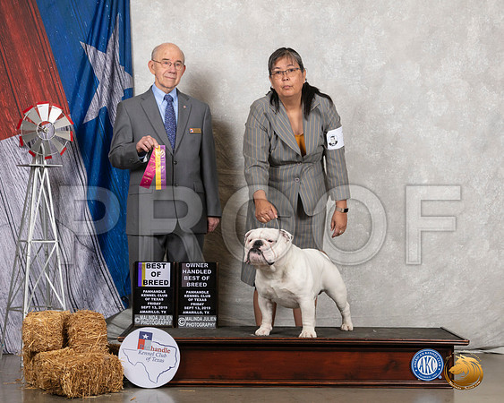 Bulldog #7 Fri BOB OHBOB Judge Kenneth Buxton__SR_8220_Amrilo2019-HR3